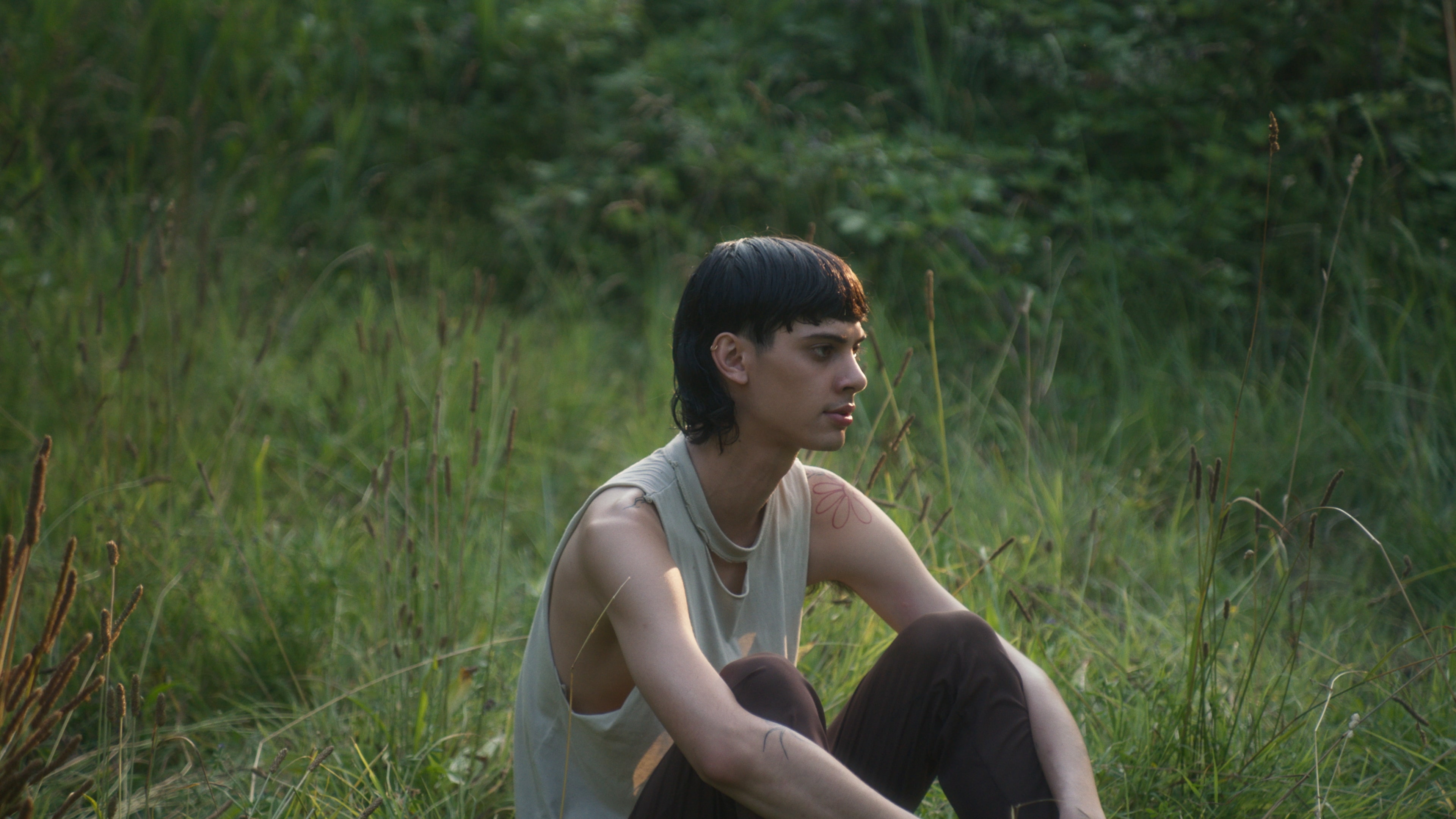 A young man sitting in high grass with the sun shining on him from behind