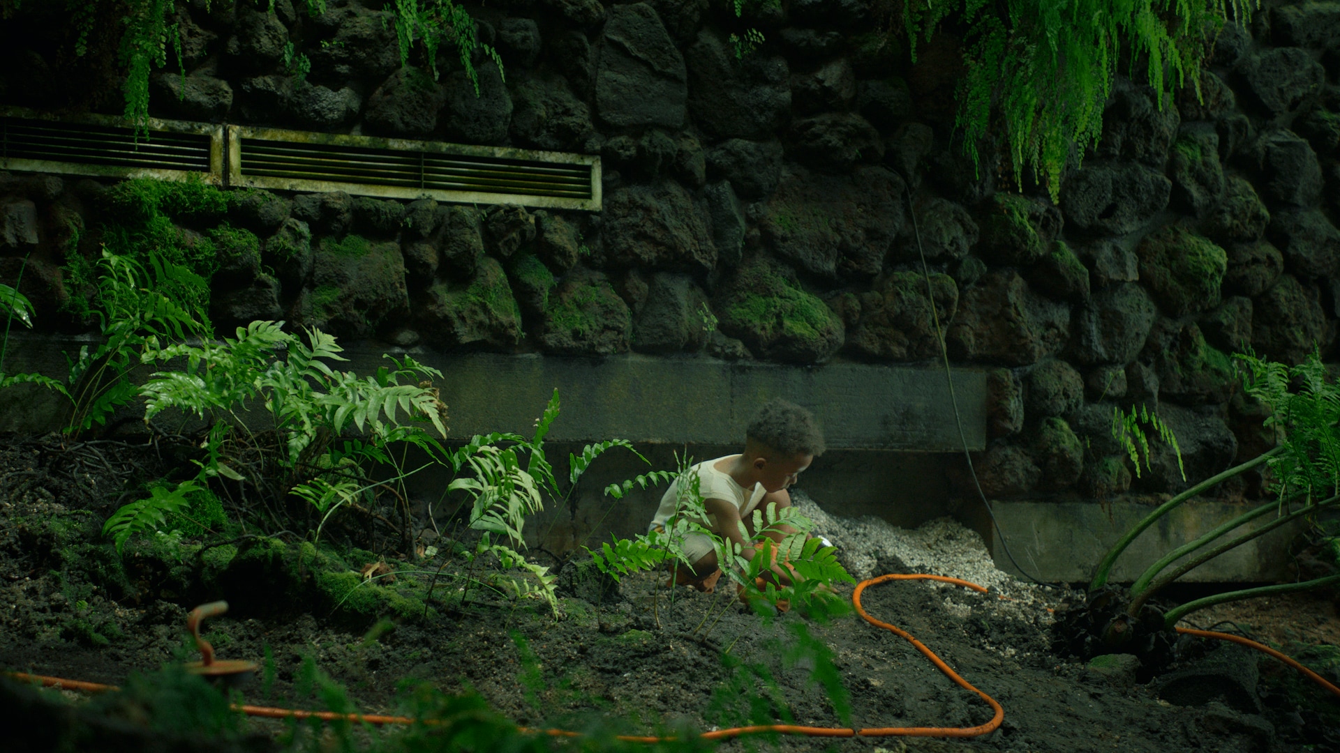 Young boy digging in a garden, a wall of stones with green moss behind him.