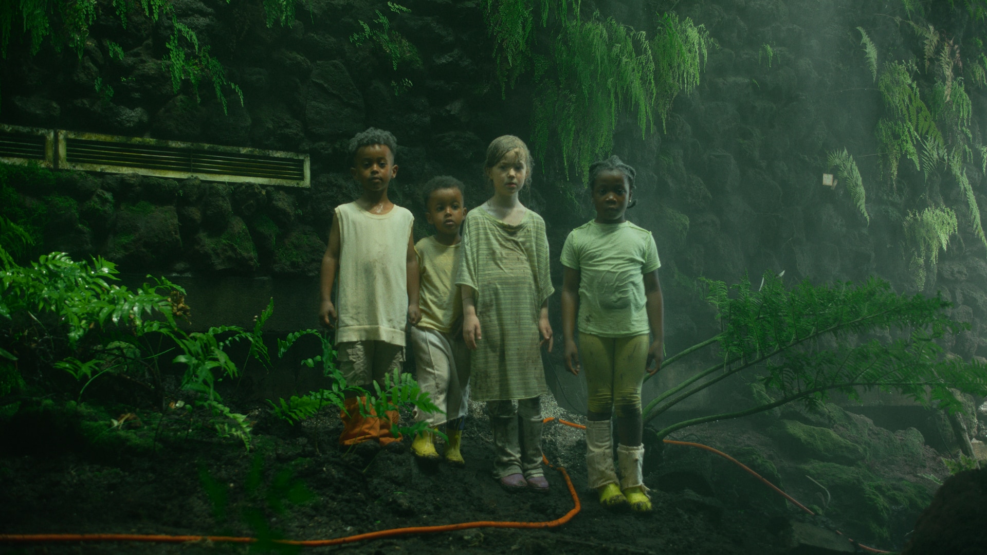 Four young children standing in a garden, looking at the camera.